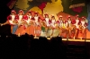 www_PhotoFloh_de_Prunksitzung_Hinterweidenthal_29_01_2012_096