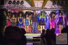 www_PhotoFloh_de_Rosenmontagsball_Ludwigswinkel_08_02_2016_132