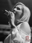 www_PhotoFloh_de_WeihnachtsRock_BrassMachine_QuasimodoPS_25_12_2015_076
